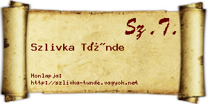 Szlivka Tünde névjegykártya