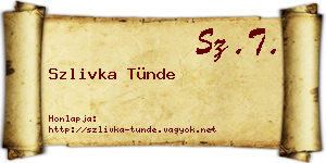 Szlivka Tünde névjegykártya